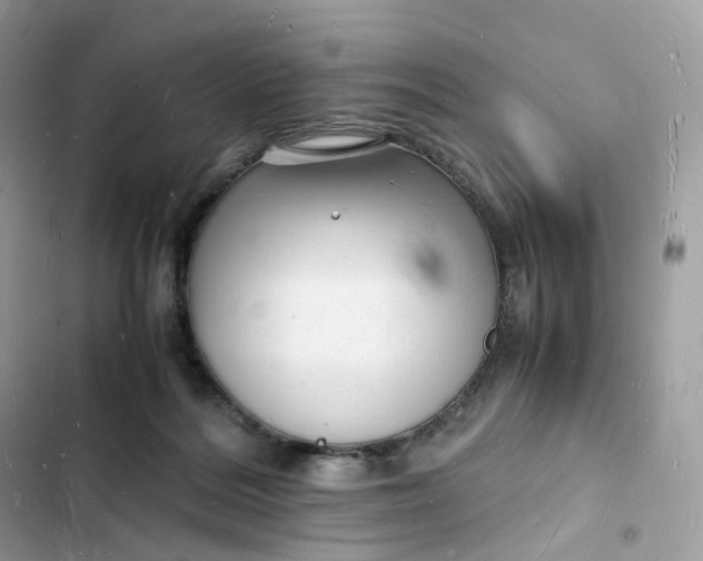 X0000103290220200809191838