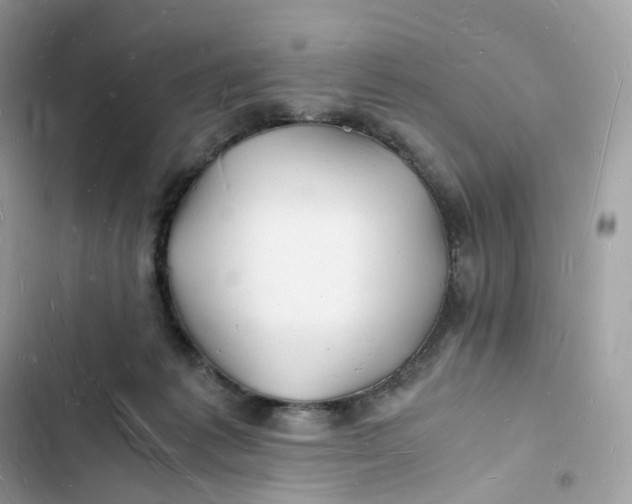 X0000103290221200809191838