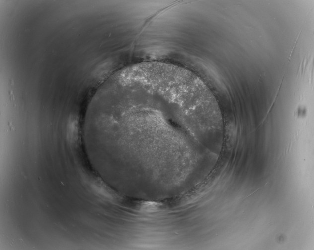 X0000103290222200809191838