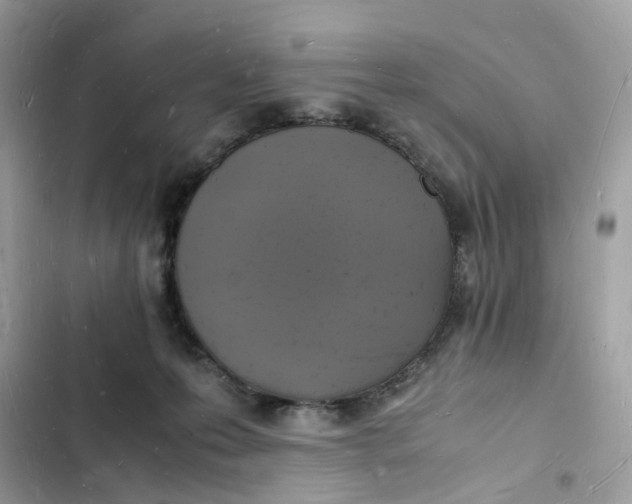 X0000103290223200809191838