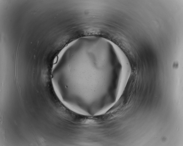 X0000103290224200809191838