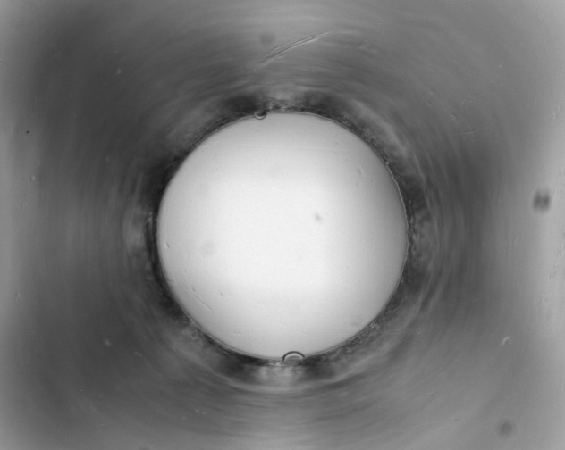 X0000103290225200809191838