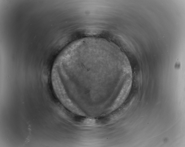 X0000103290227200809191838