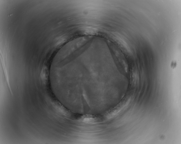 X0000103290228200809191838