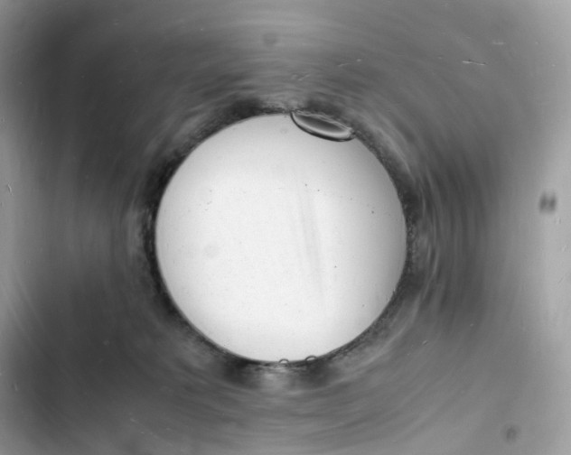 X0000103290229200809191838