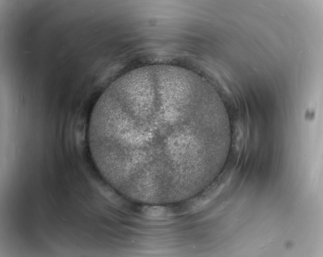 X0000103290230200809191838