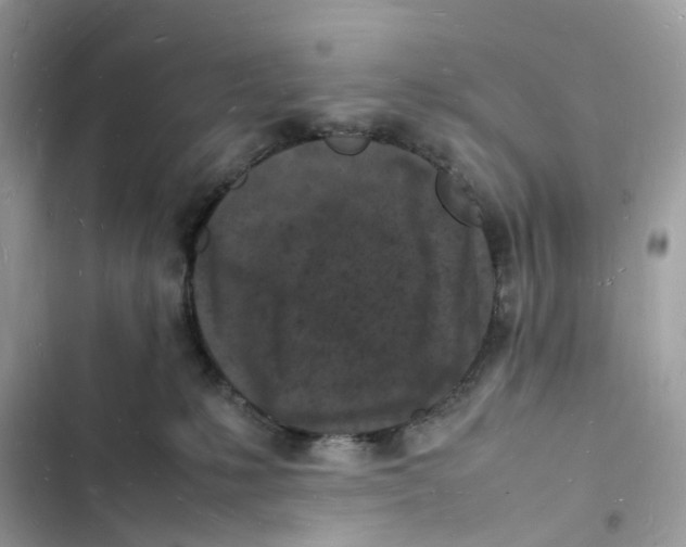 X0000103290231200809191838