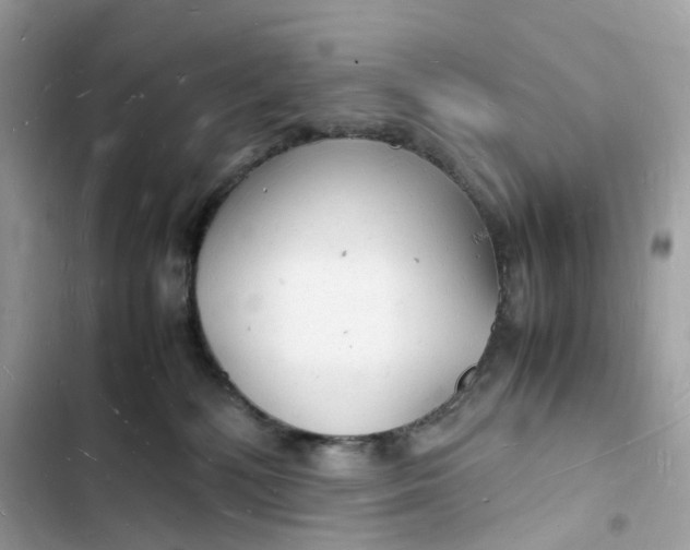 X0000103290232200809191838