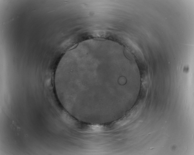 X0000103290233200809191838