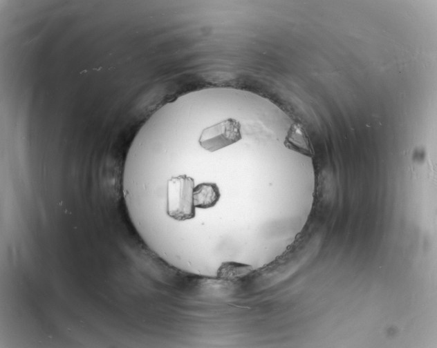 X0000103290234200809191838