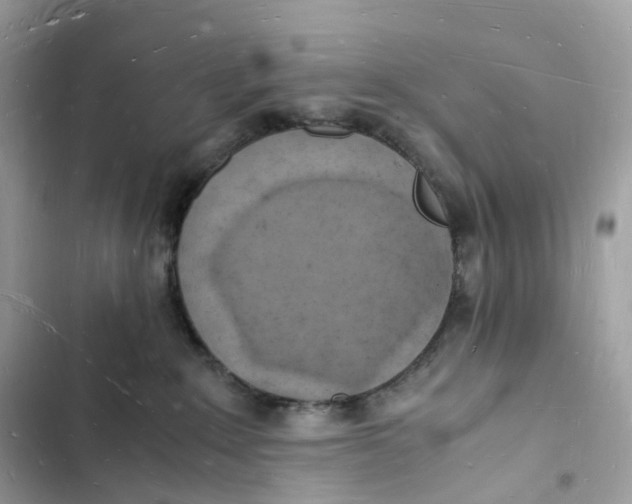 X0000103290235200809191838