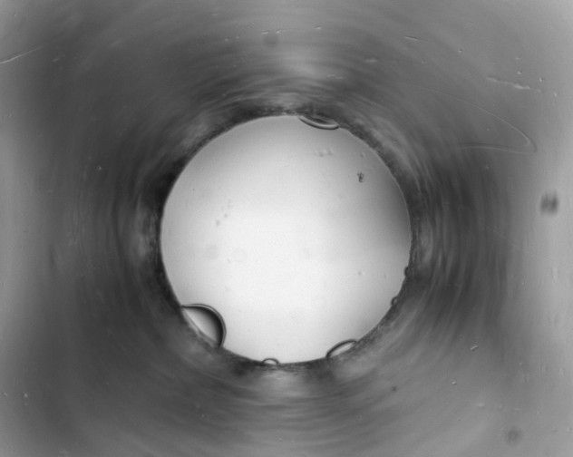 X0000103290236200809191838