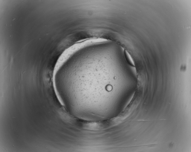 X0000103290237200809191838