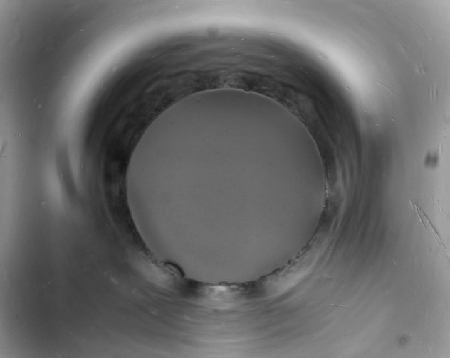 X0000103290239200809191838