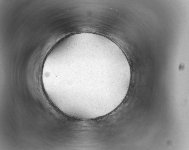 X0000103290241200809191837