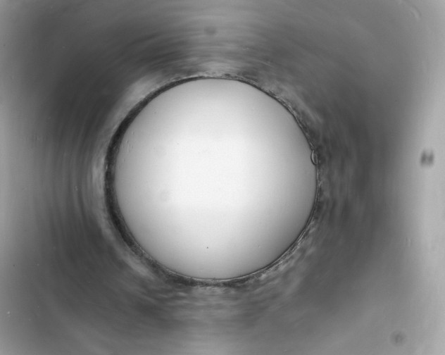 X0000103290242200809191837