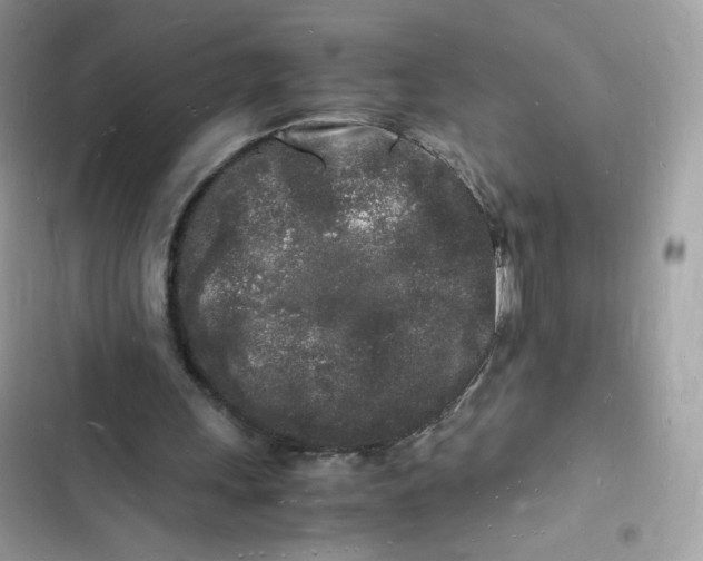 X0000103290243200809191837