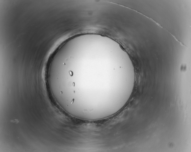 X0000103290244200809191837