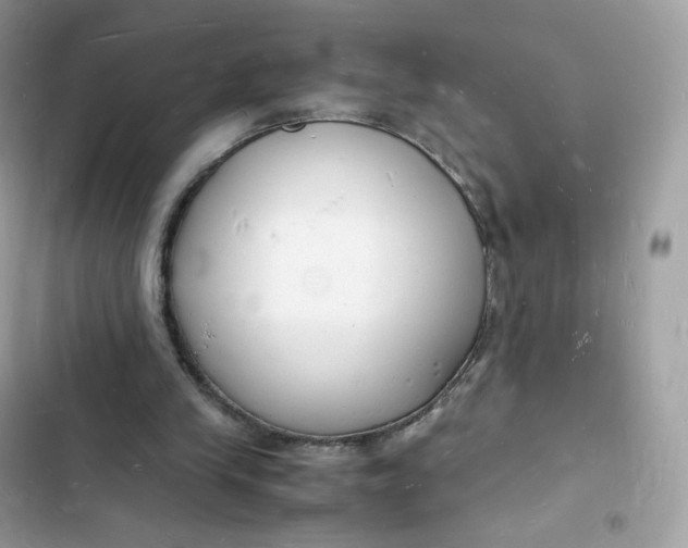 X0000103290245200809191837