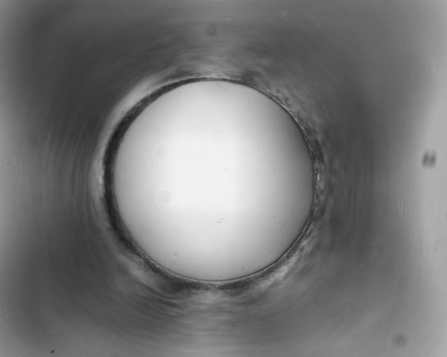 X0000103290246200809191837