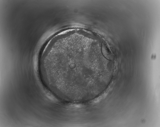 X0000103290247200809191838