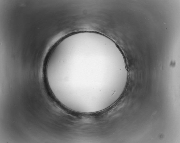 X0000103290248200809191838