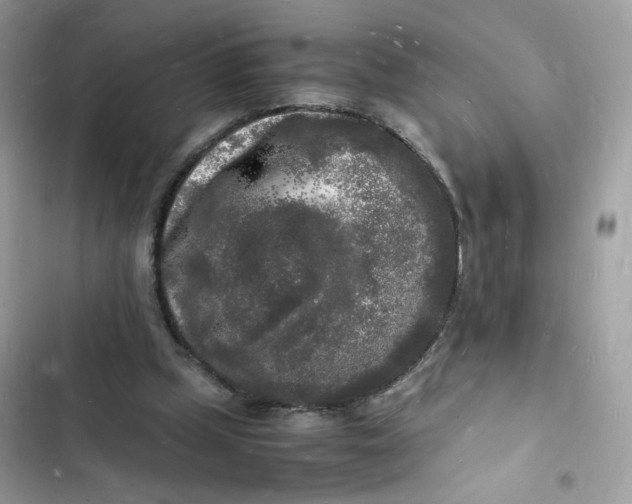 X0000103290249200809191838