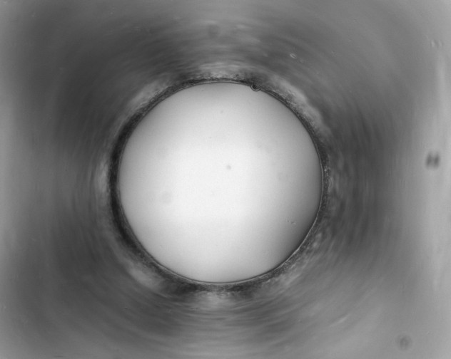 X0000103290250200809191838