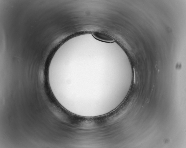 X0000103290252200809191838