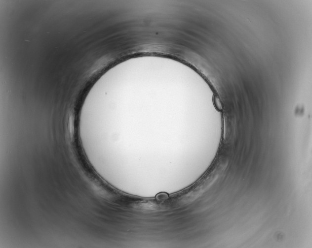 X0000103290253200809191838