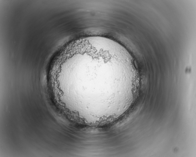 X0000103290254200809191838