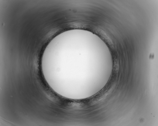 X0000103290255200809191838