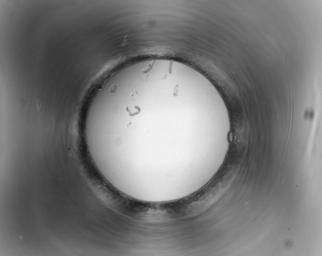 X0000103290256200809191838