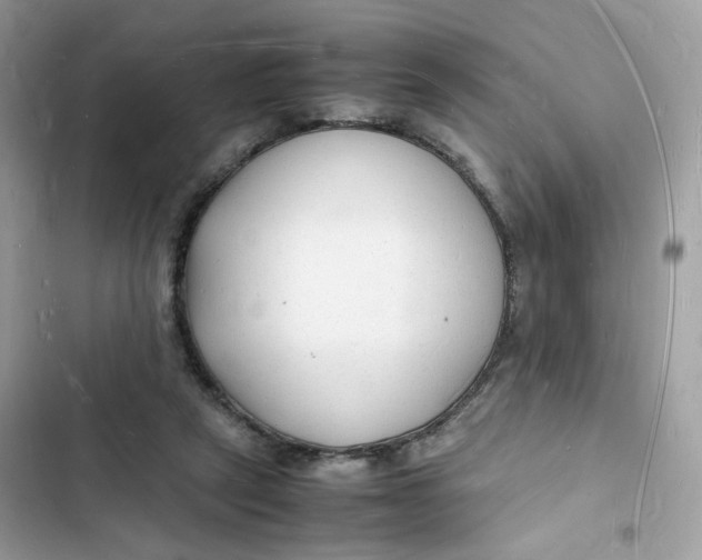 X0000103290257200809191838