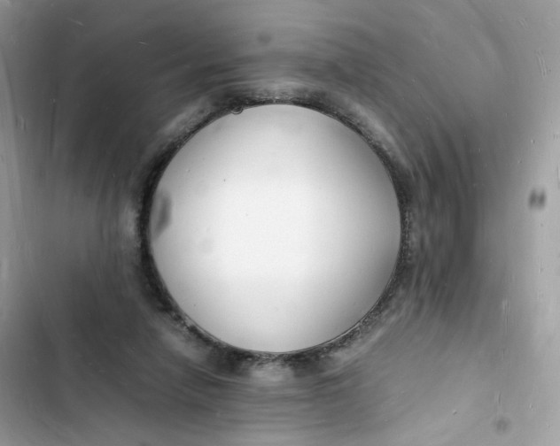 X0000103290258200809191838