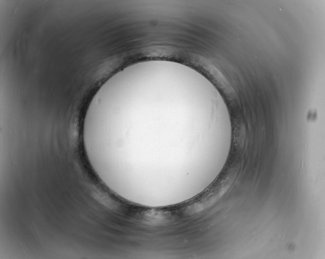 X0000103290261200809191838