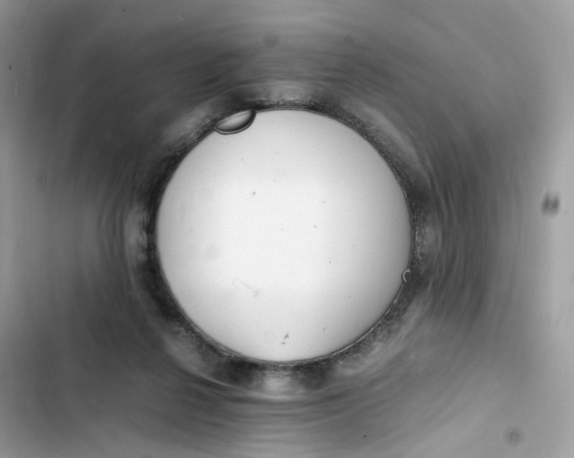 X0000103290264200809191838