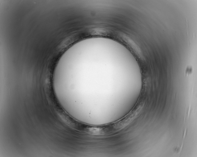 X0000103290265200809191838