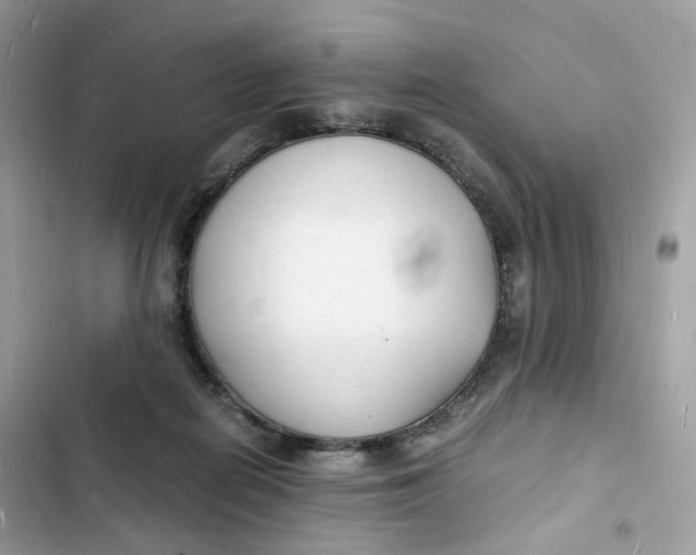 X0000103290266200809191838