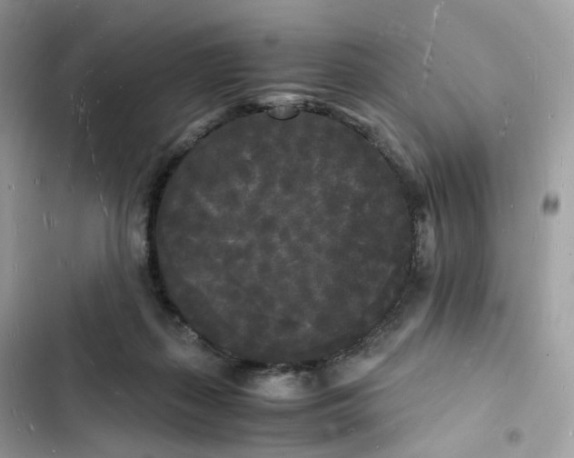 X0000103290267200809191838