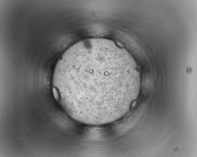 X0000103290268200809191838