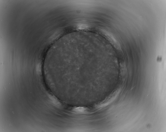 X0000103290269200809191838