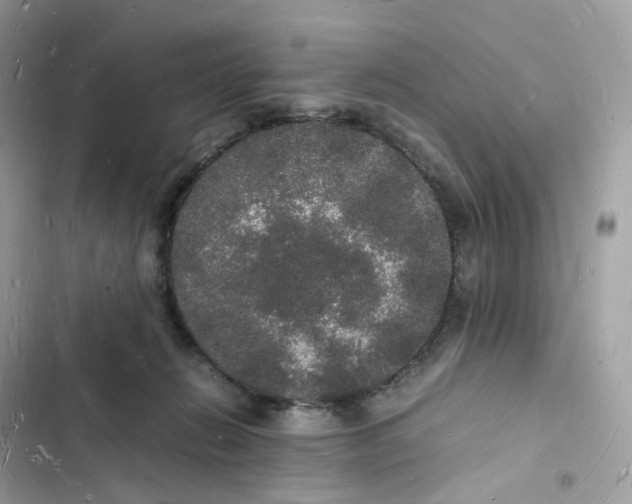 X0000103290270200809191838