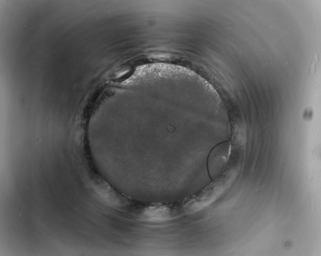 X0000103290271200809191838