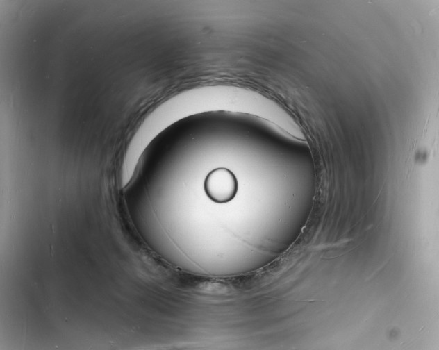 X0000103290272200809191838