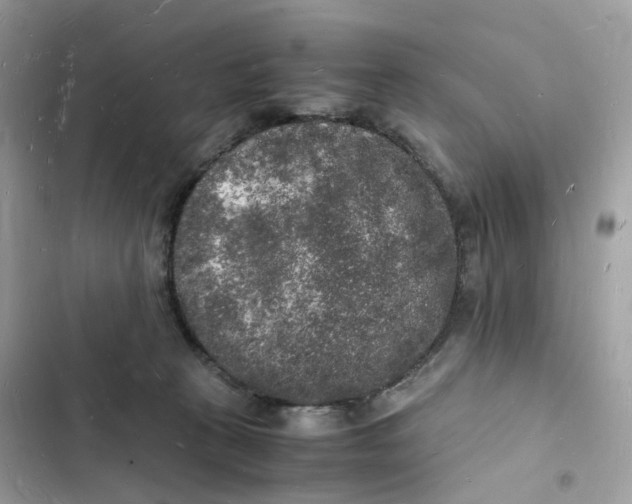 X0000103290273200809191838