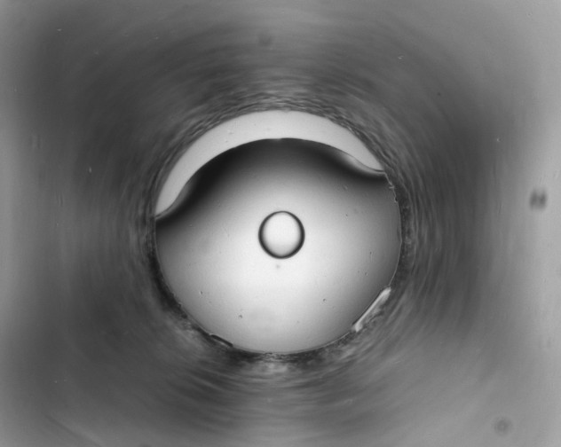 X0000103290276200809191838