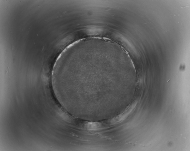 X0000103290277200809191838