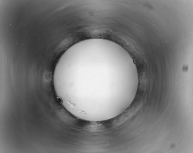 X0000103290278200809191838