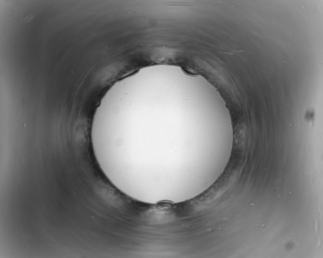 X0000103290280200809191838